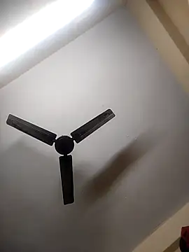 Snapshot of Devi-with-Ram chatting on October 2025 09:22:01 AM Devi-with-Ram online show from October 2025 09:22:01 AM