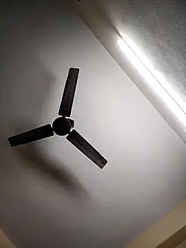 Snapshot of Devi-with-Ram chatting on November 2025 06:17:01 AM Devi-with-Ram online show from November 2025 06:17:01 AM