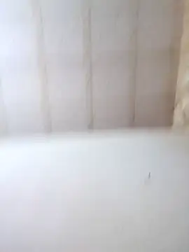 bon bonsex online show from October 2025 05:06:02 AM