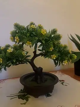 Michel huge online show from December 2025 06:07:01 AM