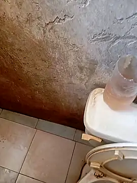 NAUFRAGO 17CM online show from November 2025 03:27:01 PM