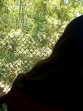 Snapshot of dimny_sex chatting on November 2025 03:17:02 AM dimny sex online show from November 2025 03:17:02 AM