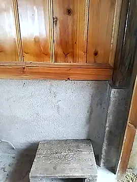 Tiyir597 online show from November 2025 04:06:01 AM