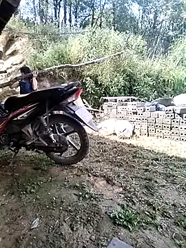 Tiyir597 online show from October 2025 03:52:02 AM