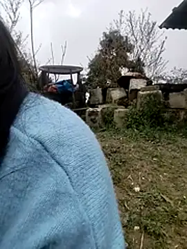 Tiyir597 online show from February 2026 03:06:01 AM