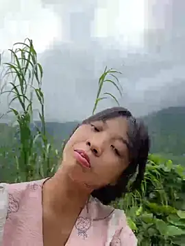 Phayphay77 online show from October 2025 08:52:01 AM