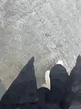 xiao-mo520 online show from March 2026 07:26:02 AM