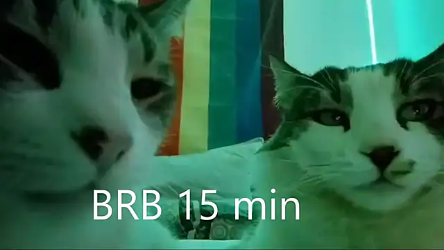 JettaHerrin online show from September 2025 10:11:02 AM