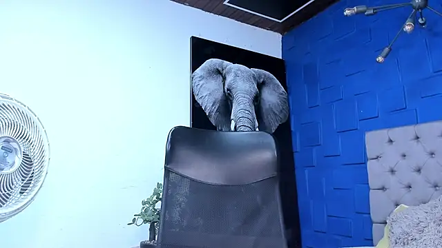 andres-clark92 online show from November 2025 05:29:02 PM