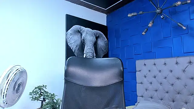 andres-clark92 online show from October 2025 06:19:01 PM