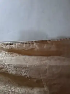 darryl hugecok online show from March 2026 07:15:02 AM