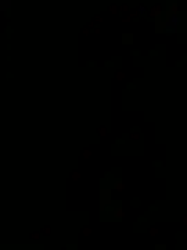 ALANNFERRER online show from April 2026 10:11:02 AM