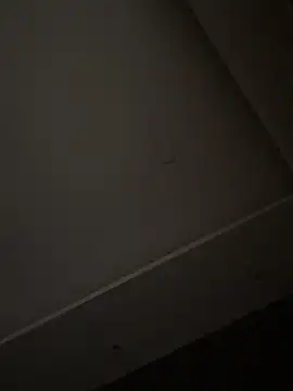 ALANNFERRER online show from November 2025 10:42:01 AM