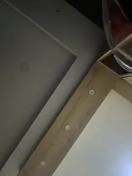 ALANNFERRER online show from October 2025 10:04:01 AM