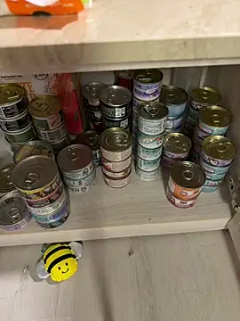 Etherealcat33 online show from April 2026 02:34:01 PM