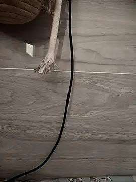 Tan32 11 online show from January 2026 05:22:01 AM