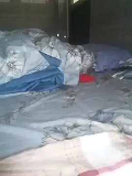 Tan32 11 online show from February 2026 12:28:02 AM