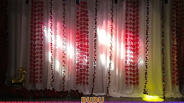 yznt-dudu online show from March 2026 04:13:01 AM