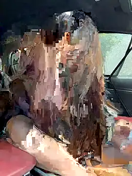 Snapshot of Linh_2004 chatting on December 2025 05:28:01 AM Linh 2004 online show from December 2025 05:28:01 AM