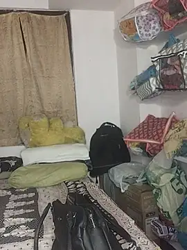 telugu Geetha30 online show from October 2025 07:29:01 AM