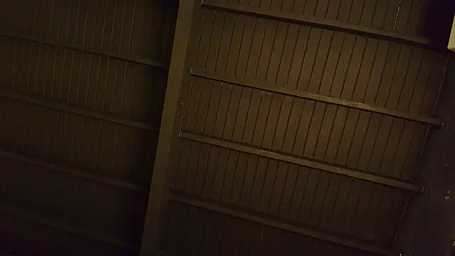 Snapshot of lilyth_bloom chatting on December 2025 12:44:02 PM lilyth bloom online show from December 2025 12:44:02 PM