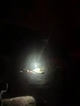 slicksdick25 online show from April 2026 09:32:01 PM