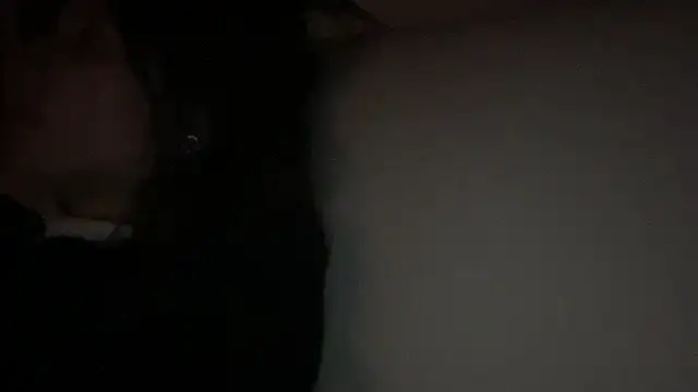 dddasani online show from February 2026 07:47:02 AM