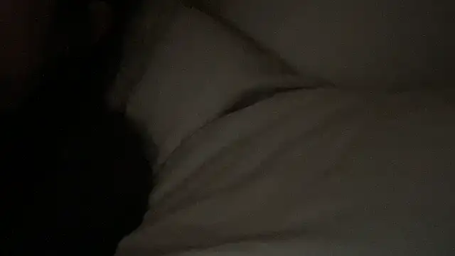 dddasani online show from January 2026 04:32:01 PM