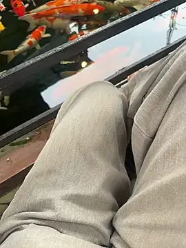 sharon-Hanna online show from February 2026 02:34:02 AM