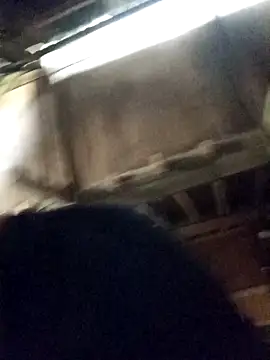 Bianly online show from April 2026 09:32:01 AM