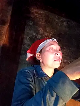 Snapshot of Bianly chatting on November 2025 11:54:01 AM Bianly online show from November 2025 11:54:01 AM