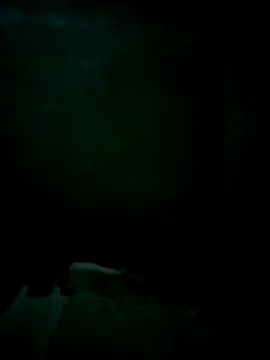 CrepedTrek online show from November 2025 06:19:01 PM