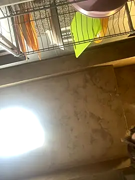 Anyssia online show from December 2025 05:08:02 AM