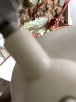 Jonny Agatha online show from March 2026 12:34:01 PM