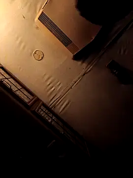 ShawnandDani7074 online show from February 2026 05:46:02 AM