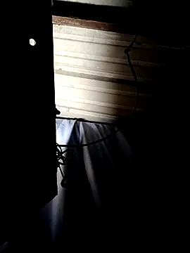 ShawnandDani7074 online show from April 2026 07:46:01 AM