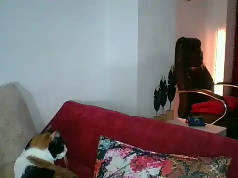 a miss online show from September 2025 05:38:02 PM