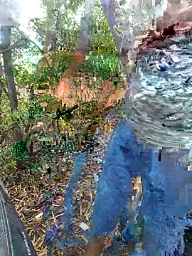 Aeroxx online show from March 2026 04:47:02 AM