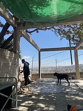 Shankortiz online show from April 2026 09:16:01 PM