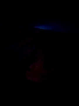 Snapshot of Ravi8879 chatting on September 2025 07:04:02 AM Ravi8879 online show from September 2025 07:04:02 AM