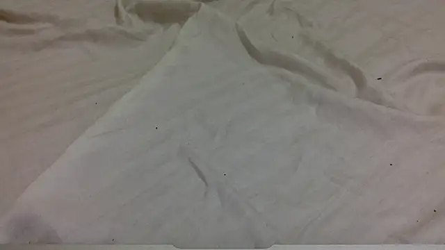 tutu101 online show from January 2026 12:52:02 PM