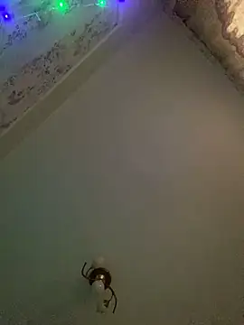 missevacrystal online show from November 2025 11:48:01 AM