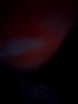 Exotic-bhabhi online show from October 2025 08:53:01 PM