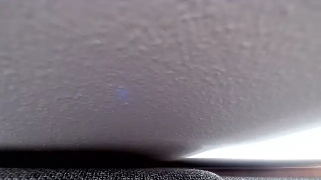 cucciolotto76 online show from November 2025 08:36:02 AM