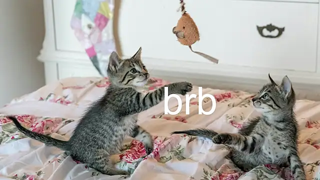 Pink girl0n online show from October 2025 03:07:02 AM