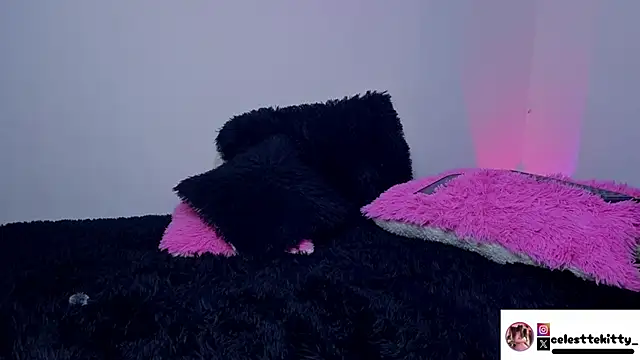 celestte evans 1 online show from March 2026 03:47:02 AM