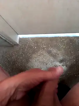 fepintudo online show from November 2025 08:09:02 PM