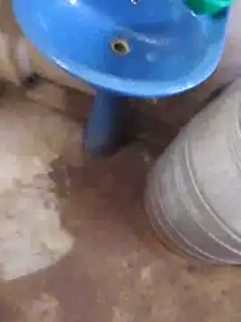 Pogga666 online show from November 2025 05:33:02 AM