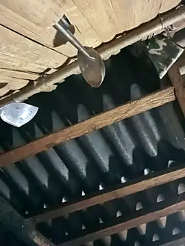 Snapshot of Mamapm20 chatting on September 2025 11:28:01 AM Mamapm20 online show from September 2025 11:28:01 AM