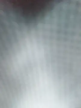 Reina Cummings online show from April 2026 05:14:02 AM